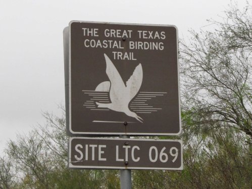 Great TX Birding Trail