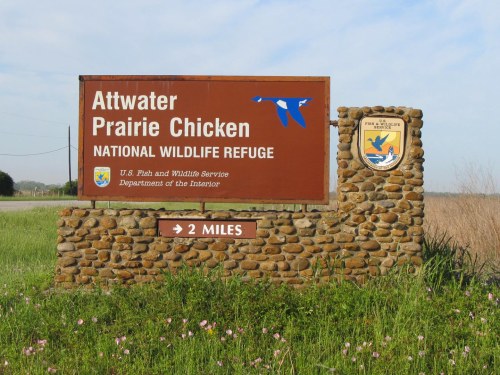 Attwater Prairie Chicken NWR