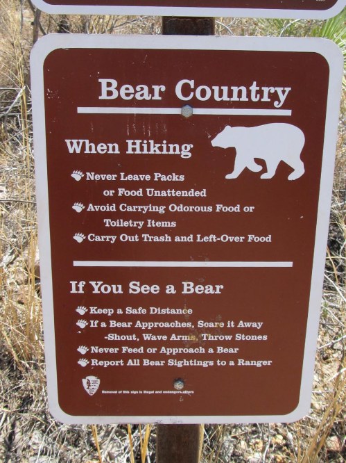 Bear Country Sign